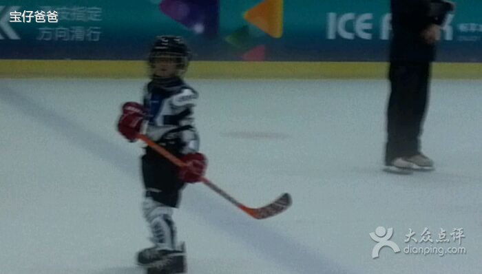 谁是宝仔的爸爸的作品简介