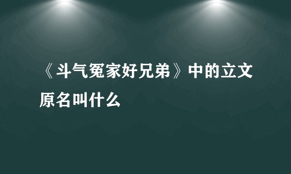《斗气冤家好兄弟》中的立文原名叫什么