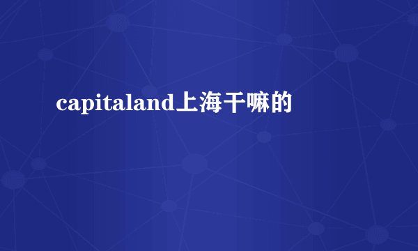 capitaland上海干嘛的