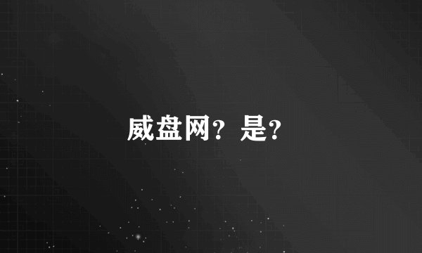 威盘网？是？