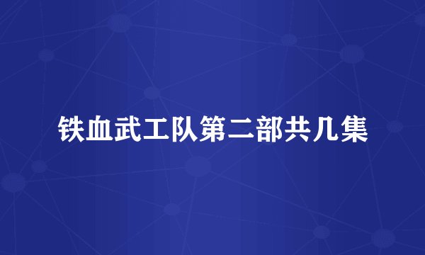 铁血武工队第二部共几集