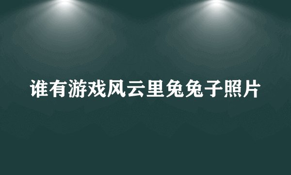 谁有游戏风云里兔兔子照片