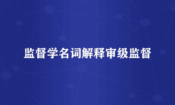 监督学名词解释审级监督