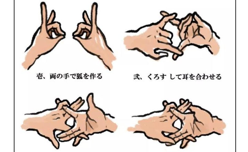 狐狸之窗是什么啊？