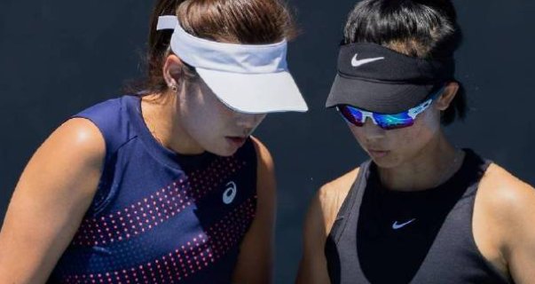 温网直播在哪个平台