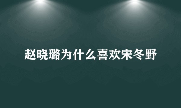 赵晓璐为什么喜欢宋冬野