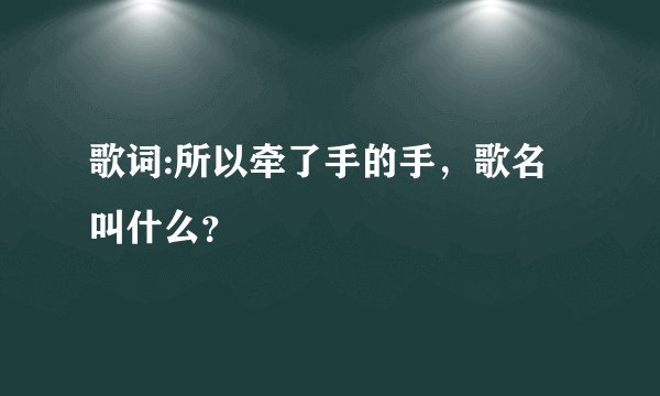 歌词:所以牵了手的手，歌名叫什么？