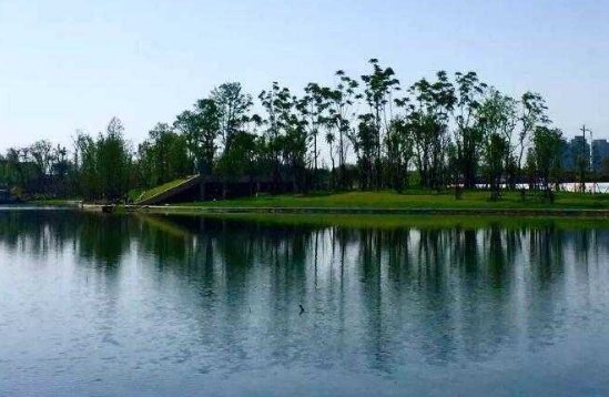 清波漾漾是什么意思啊