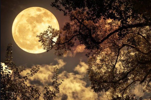 描写8月15月亮的优美语段