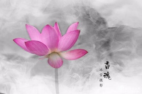 任达华 温碧霞 《香魂》