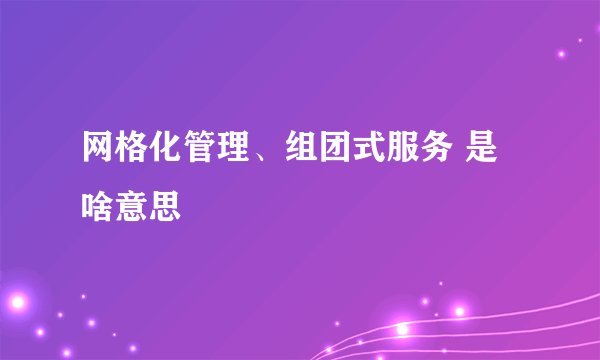网格化管理、组团式服务 是啥意思