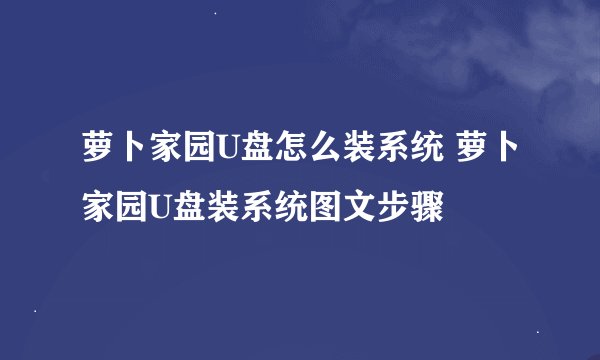 萝卜家园U盘怎么装系统 萝卜家园U盘装系统图文步骤