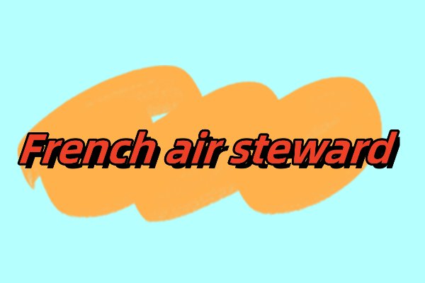 法国空乘满天星的英文翻译是什么？