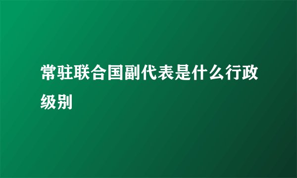 常驻联合国副代表是什么行政级别