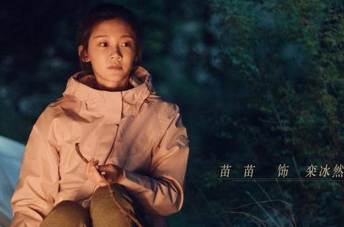 苗苗演过什么电视剧