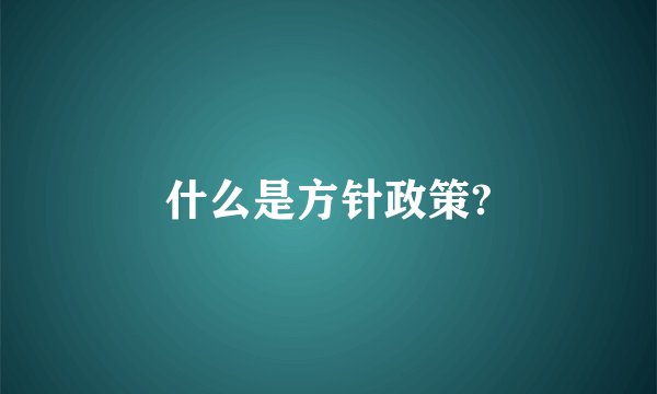 什么是方针政策?