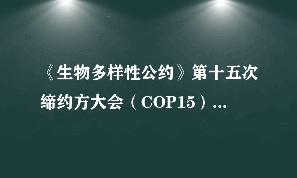 《生物多样性公约》第十五次缔约方大会（COP15）重新确定于2021年5月17日至30日在（）举办。