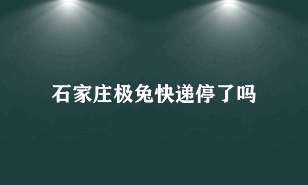石家庄极兔快递停了吗