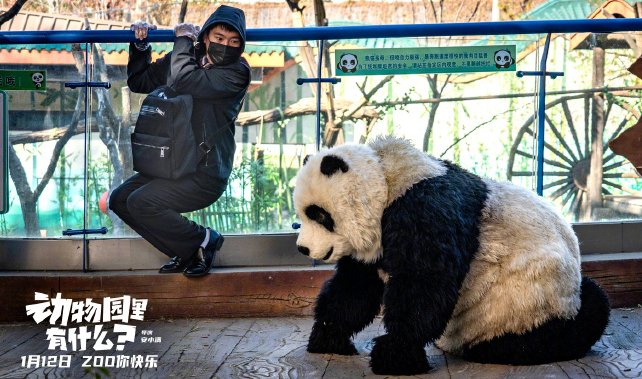 动物园里有什么在线观看