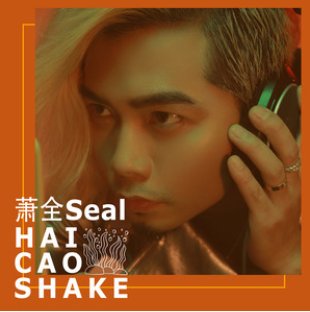 有一首歌的歌词是像一棵海草海草随风飘摇的歌名