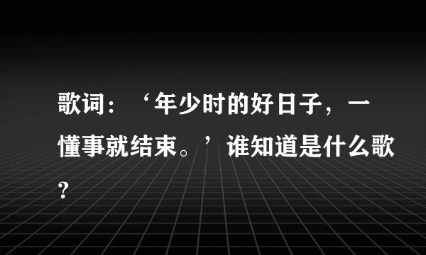 歌词：‘年少时的好日子，一懂事就结束。’谁知道是什么歌？