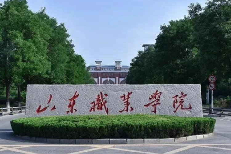 2023年山东职业学院录取情况