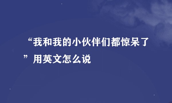 “我和我的小伙伴们都惊呆了”用英文怎么说