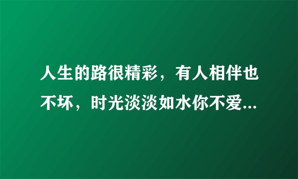 人生的路很精彩，有人相伴也不坏，时光淡淡如水你不爱，添油加醋加色彩 这首歌名叫什么？”