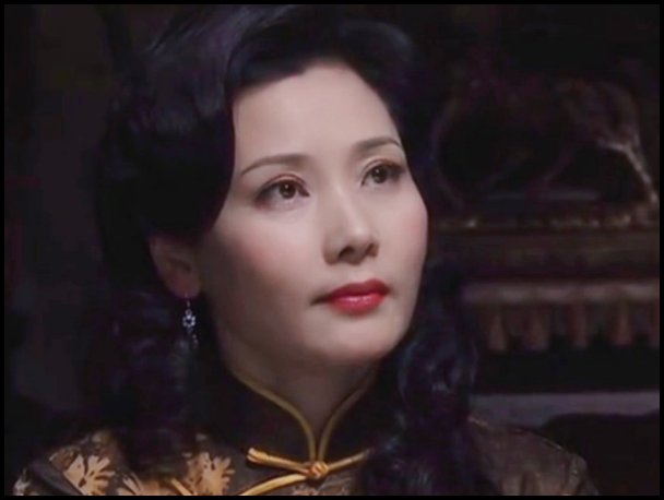 何赛飞演的电视剧有哪些