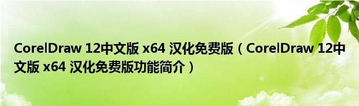 CorelDraw12中文版x64汉化免费版CorelDraw12中文版x64汉化免费版功能简介