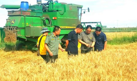 三夏生产作业是什么意思报备