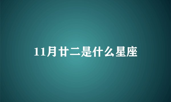 11月廿二是什么星座