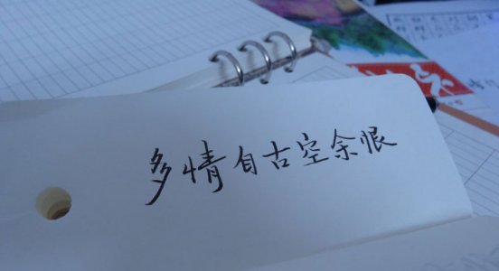 多情自古空余恨,好梦由来最易醒是什么意思?