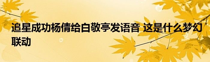 追星成功杨倩给白敬亭发语音这是什么梦幻联动