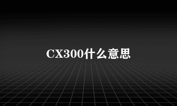 CX300什么意思