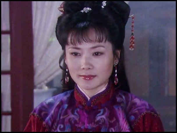 何赛飞演的电视剧有哪些