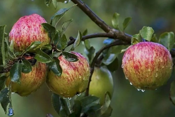 秋天的雨仿写把颜色给了谁