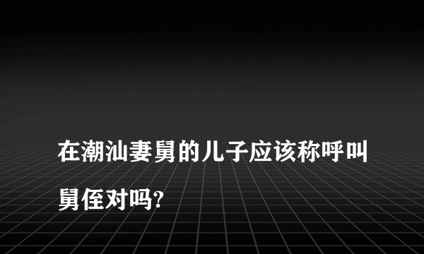 
在潮汕妻舅的儿子应该称呼叫舅侄对吗?

