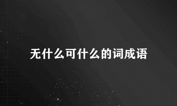 无什么可什么的词成语