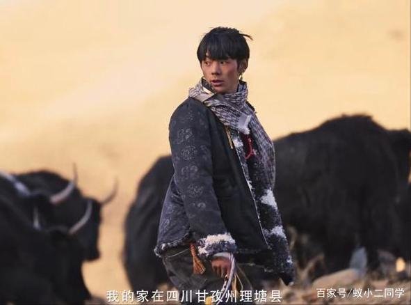 丁真称以前放牛骑马现在还要干活，走红后的他还有哪些变化？