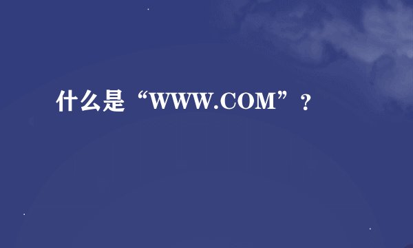 什么是“WWW.COM”？
