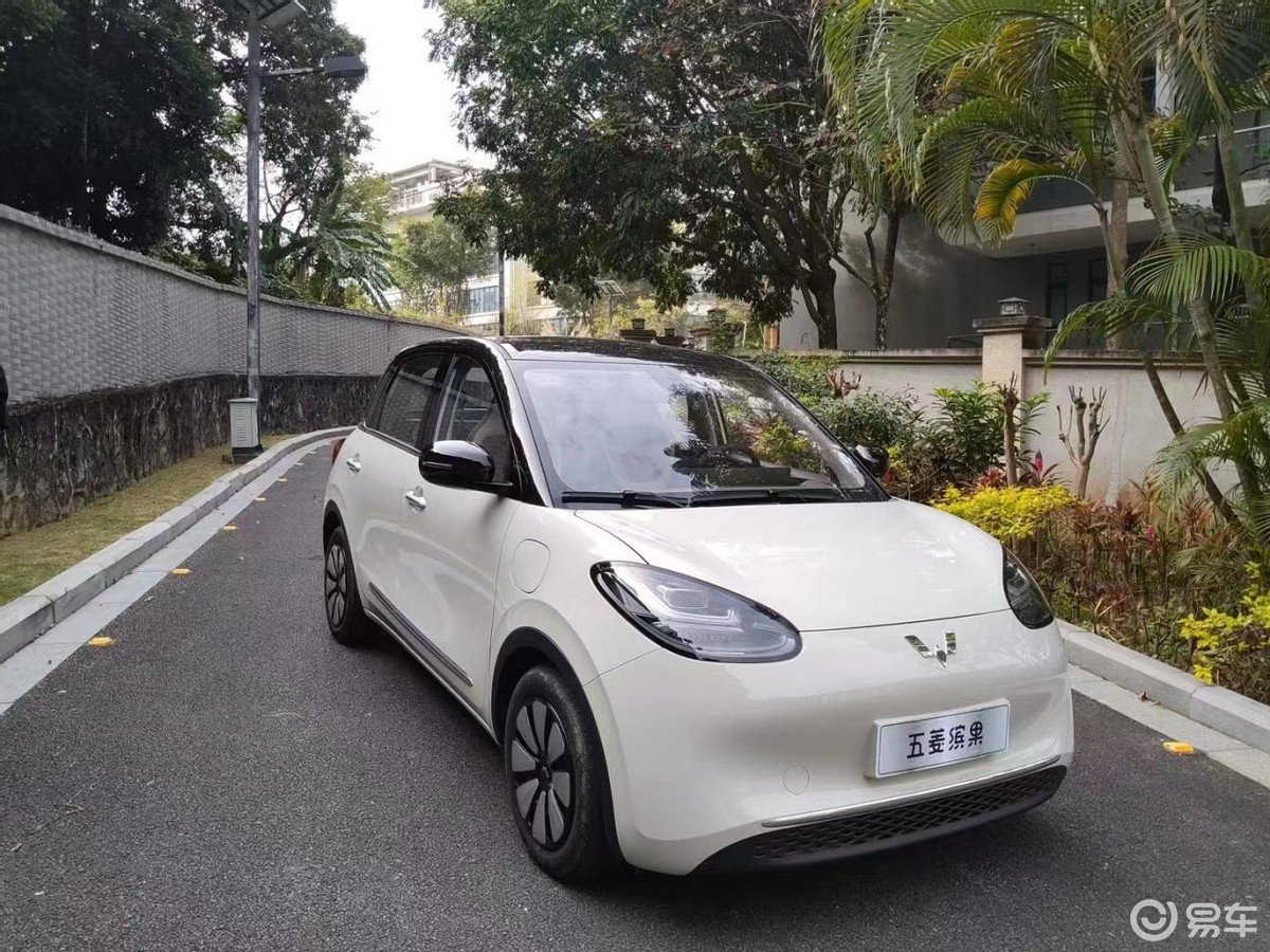 让新势力望尘莫及！五菱缤果上市3个月销量破6万