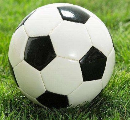 负其它是什么意思？