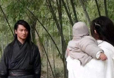 新流星蝴蝶剑小蝶不能生育是原著里的事吗