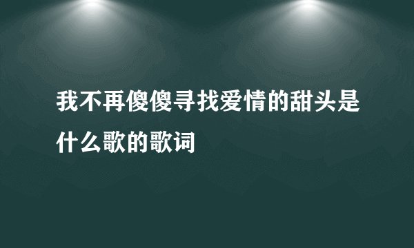 我不再傻傻寻找爱情的甜头是什么歌的歌词