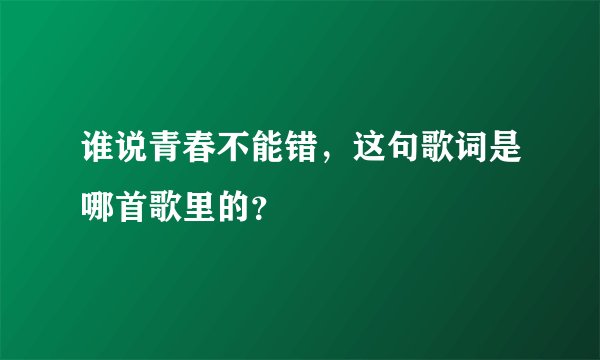 谁说青春不能错，这句歌词是哪首歌里的？