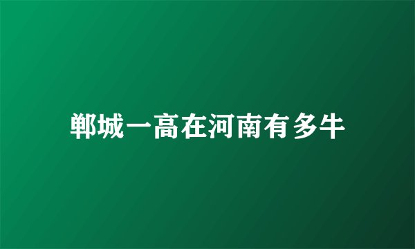 郸城一高在河南有多牛