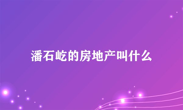 潘石屹的房地产叫什么
