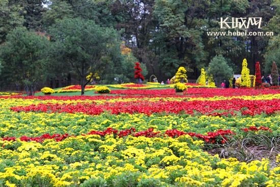 菊地最爱的演艺经历