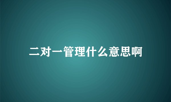 二对一管理什么意思啊